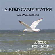 A Bird Came Flying Solo <br />
from the Book A Bird Came Flying <br />
by Anne Vanschothorst